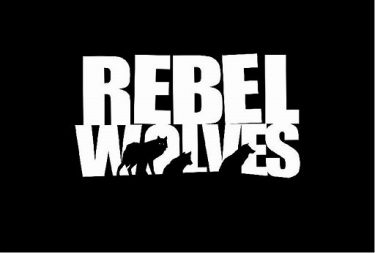 《巫師3》製作人專訪：為何願意拿網易投資成立Rebel Wolves？